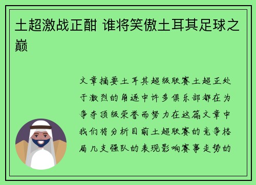 土超激战正酣 谁将笑傲土耳其足球之巅